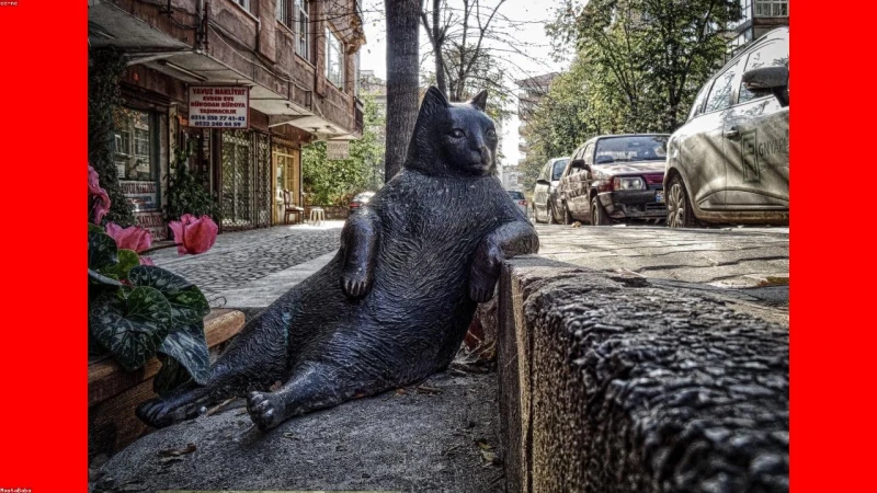 TurboScribe Unlimited: Biến Mọi Âm Thanh Thành Văn Bản Siêu Tốc Chỉ Từ 20.000đ Tại DivineShop!